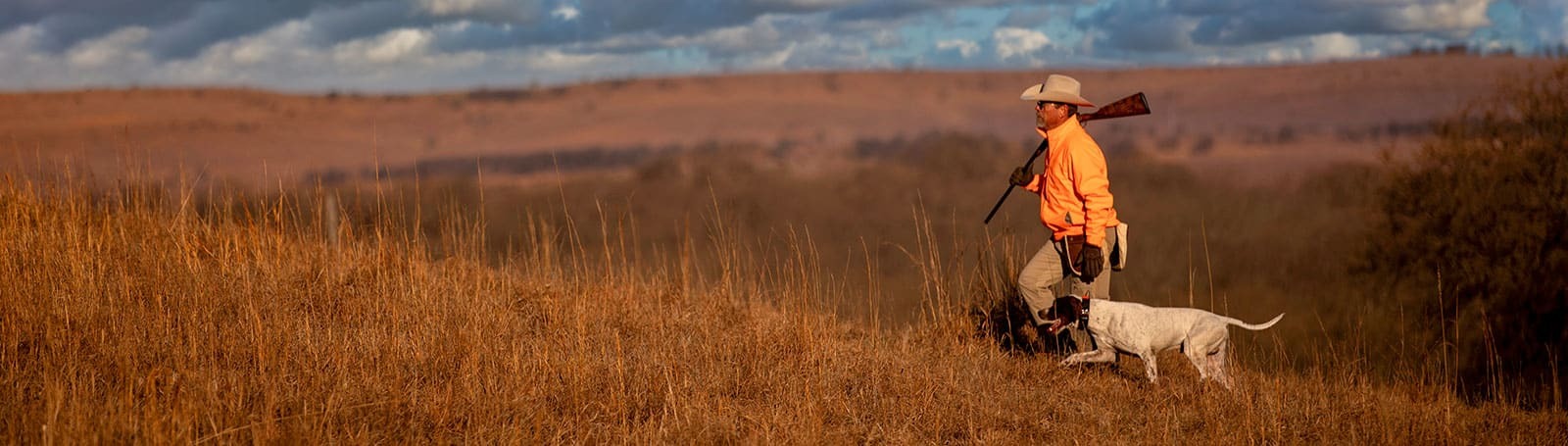 Garmin Alpha 200 Plus