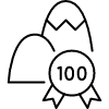 Garmin fenix 9
