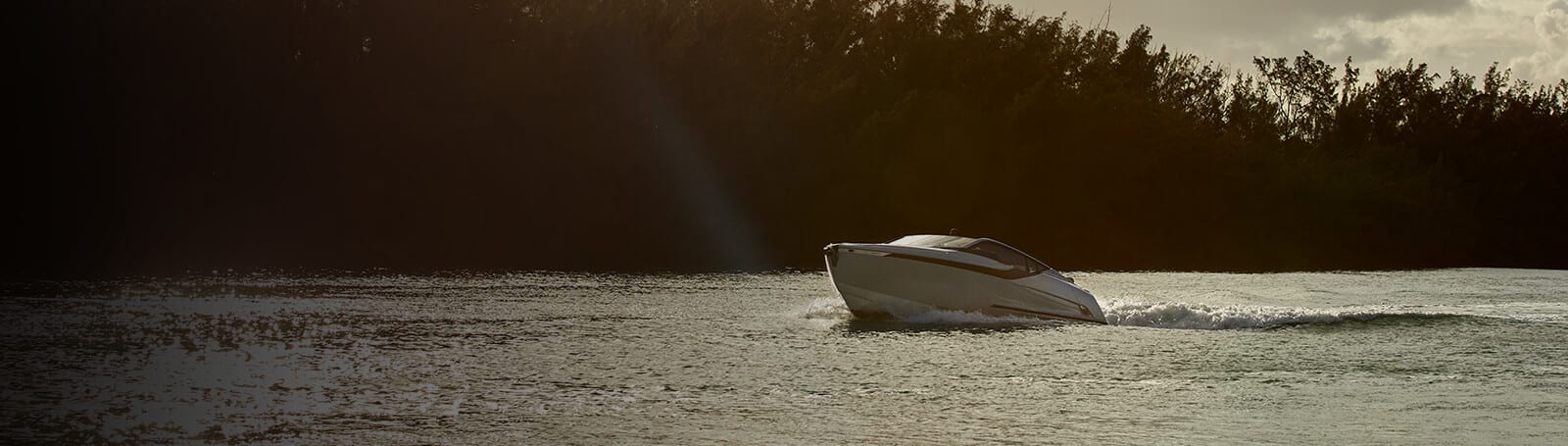 Garmin MSRA210