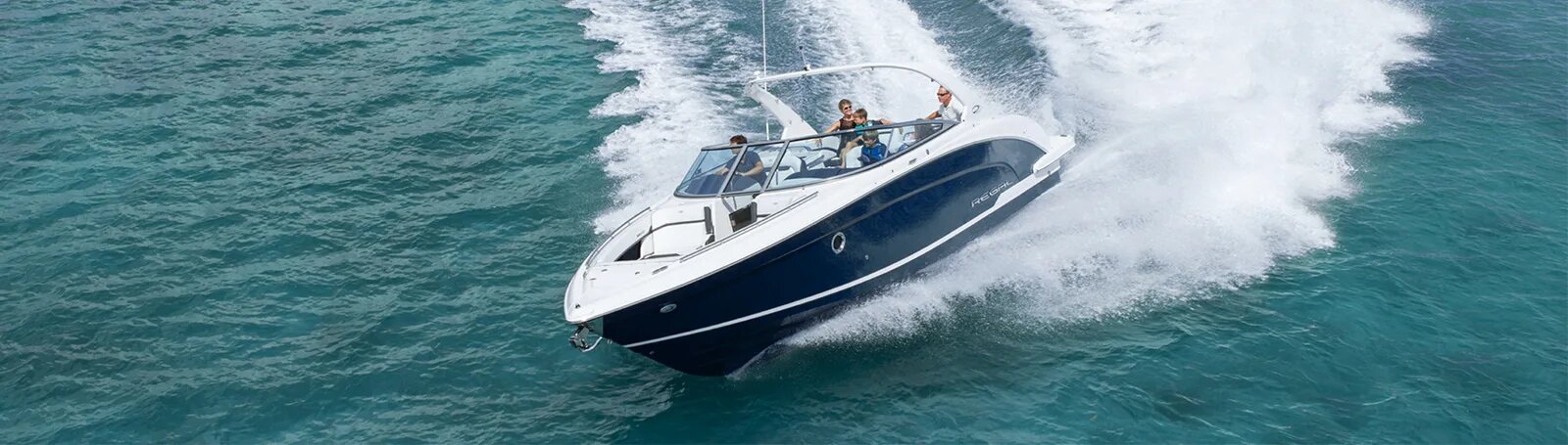 Garmin MSRA210